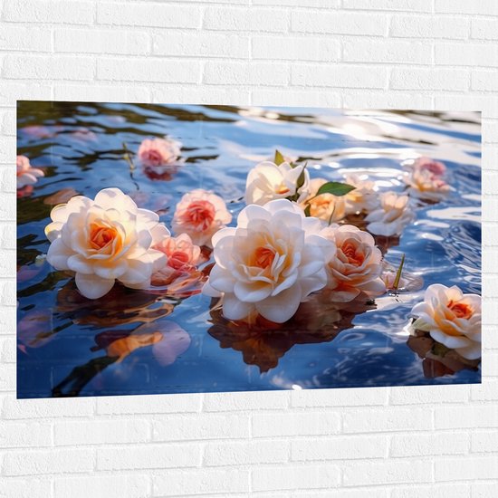 Muursticker - Camellia Bloemen in het Water - 120x80 cm Foto op Muursticker