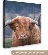 Peinture sur toile Scottish Highlander - Tête de vache - Paysage - Nature - Vache - 20x20 cm - Décoration murale