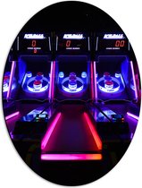 Dibond Ovaal - Ballengooien Spel in Arcade Hal - 42x56 cm Foto op Ovaal (Met Ophangsysteem)