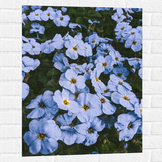 Muursticker - Vergeet me nietjes bloemen blauw met gele binnenkant - 60x80 cm Foto op Muursticker