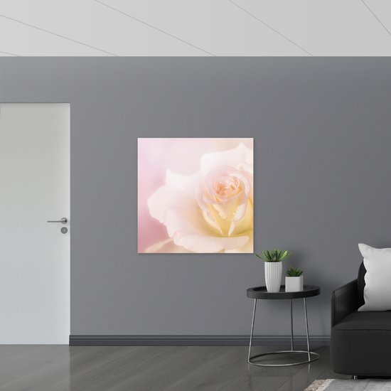 Poster (Mat) - Licht Roze met Witte Roos voor Roze Achtergrond - Bloemen - 100x100 cm Foto op Posterpapier met een Matte look