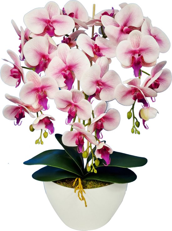 Damich - Orchidée Artificielle en Pot de Fleurs - Pour l'intérieur - Hauteur environ 60cm - Rose