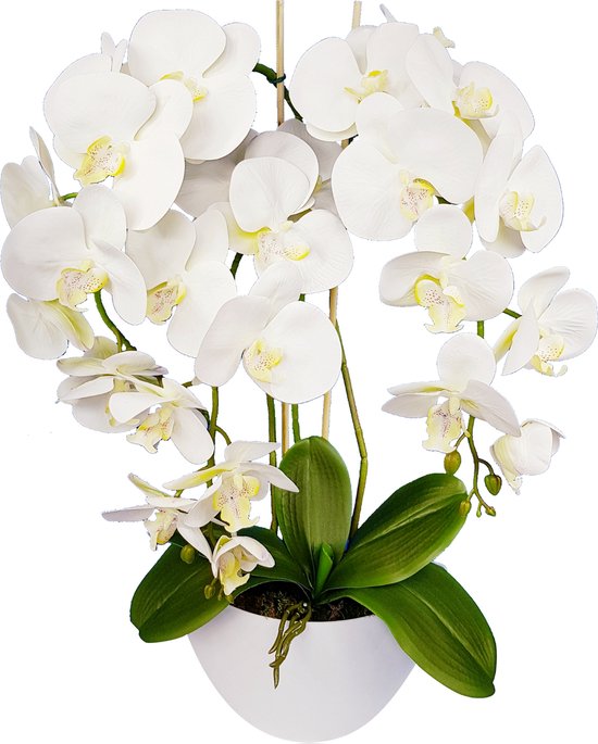 Damich - Kunst Orchidee in Bloempot - Voor binnen - Hoogte 60cm - Wit