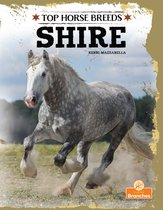 Top Horse Breeds - Shire