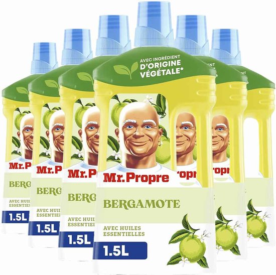 Mr. Propre Vloeibare Allesreiniger - Voor De Vloer - Met Bergamot Met Essentiële Oliën - Voordeelverpakking 6 x 1 L