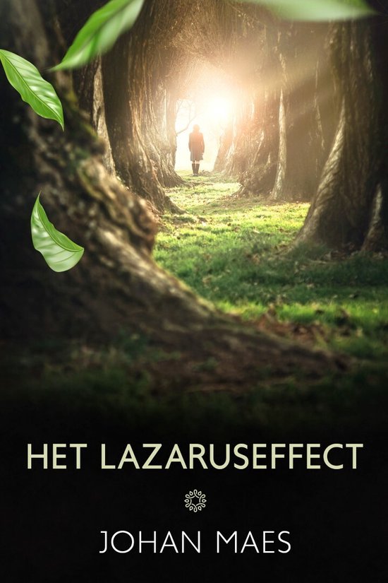 Het Lazaruseffect - cover