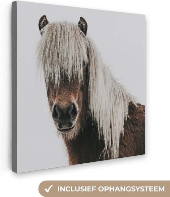 Canvas schilderij paarden - Canvas doek - Kids - Paard - Dieren - Sneeuw - Wit - Canvas kinderen - Wanddecoratie meisjes - Jongens - 50x50 cm