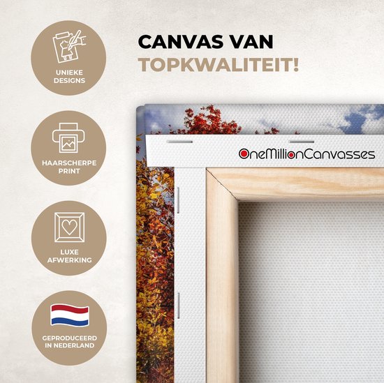 Tableau sur toile Arbre - Chemin - Automne - 30x20 cm - Décoration murale