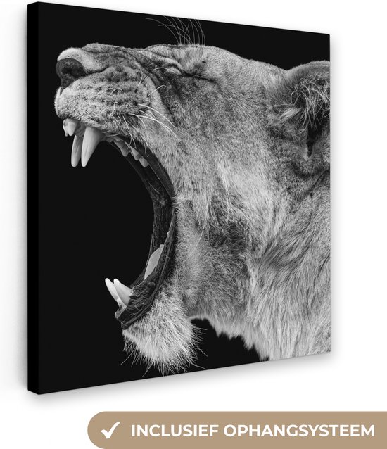 Canvas schilderij - Dieren - Leeuw en Leeuwin - Natuur - Zwart - Wit - Lion - Schilderijen op Canvas - Kamer decoratie - 50x50 cm - Canvasdoek - Wanddecoratie