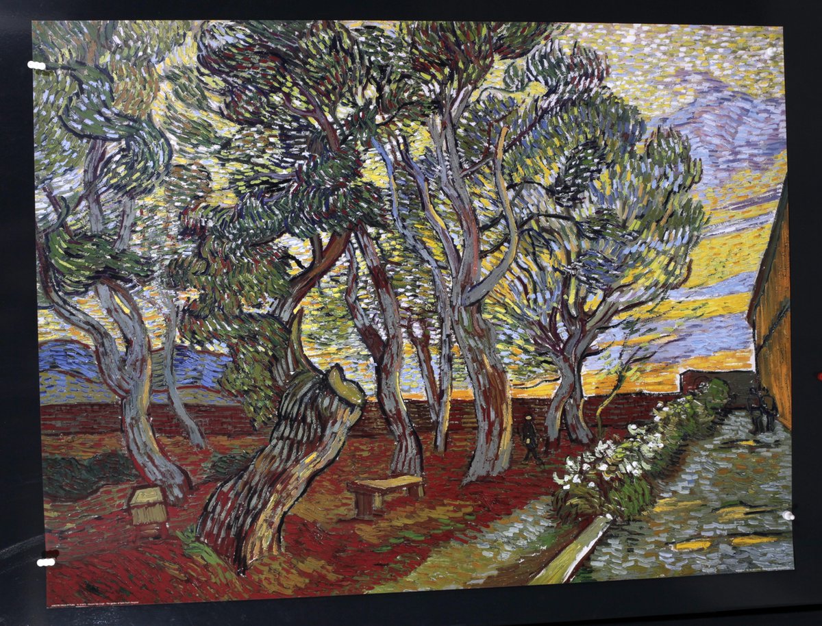 Catch Projecten Vincent van Gogh - Tuin van de inrichting Saint-Paul - Kunstposter - 60x80 cm Multicolour