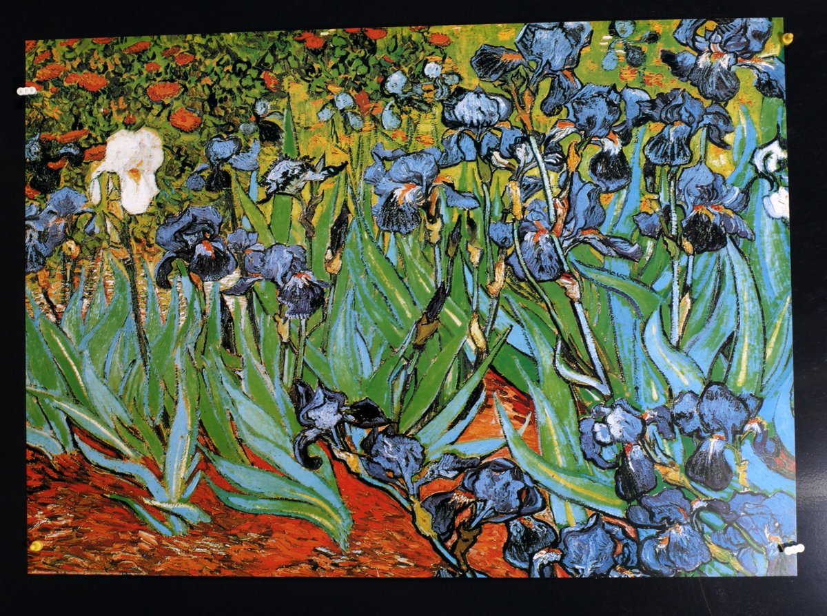 Catch Projecten Vincent van Gogh - Irissen - Kunstposter - 50x70 cm Multicolour