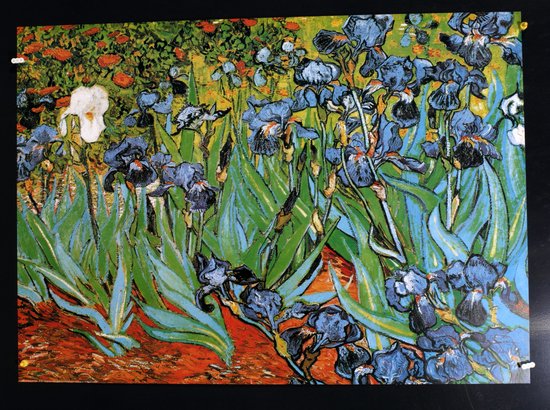 Vincent van Gogh - Irissen - Kunstposter - 50x70 cm