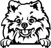 Sticker - Glurende Hond - Pomeriaan - Zwart - 25x20cm - Peeking Dog