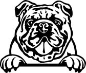 Sticker - Glurende Hond - Engelse Bulldog - Zwart - 25x20cm - Peeking Dog