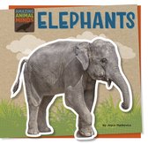 Amazing Animal Minds - Elephants