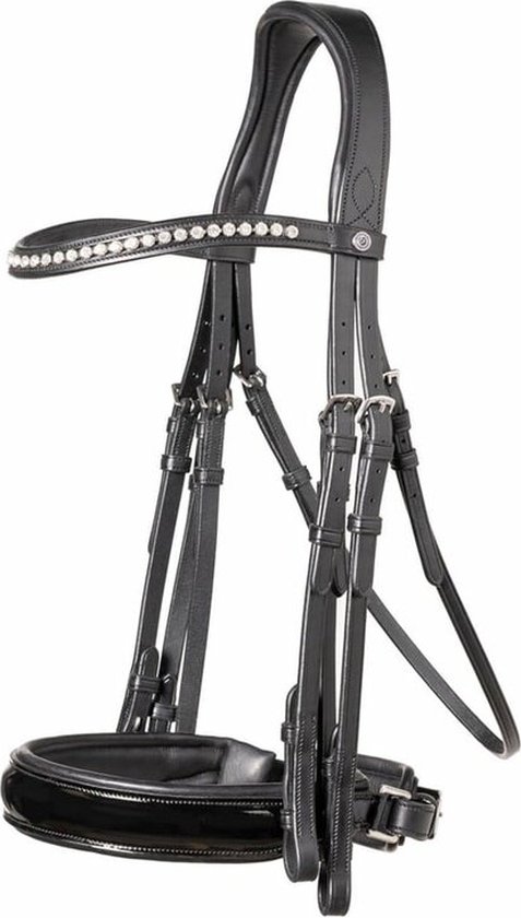 Aachen large crank noseband double bridle black/silver