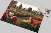 Tulpen Puzzel - Tulpenpark - Landschap - Natuur - Kleurrijk - Bloemen - Prachtig Tulpenthema - Betoverende Bloemenpuzzel - Hoogwaardige Kartonnen Puzzel - Ontspannende Activiteit - Tulpenliefhebbers Puzzel - Kleurrijk en Gedetailleerd - 500 Stukjes