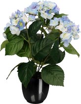 Hortensia kunstplant/kunstbloemen 40 cm - blauw - in pot zwart glans - Kunst kamerplant