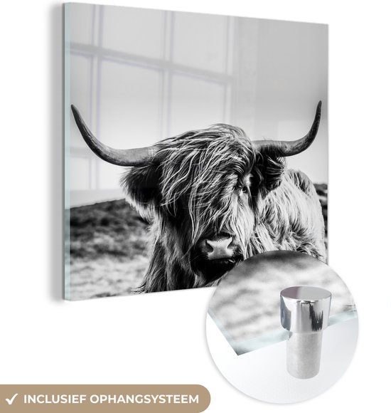 Peinture sur verre Highlander écossais - Animaux - Vache - Zwart et blanc - Peintures salon - Plaque de verre - Décoration murale verre - Photo sur verre - 90x90 cm - Décoration chambre - Décoration murale - Peinture verre - Décoration murale