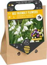 Sachet de fleurs utile Bulbes de fleurs Fleurs respectueuses des abeilles 25 pièces