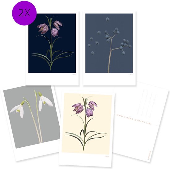 Foto: Ansichtkaarten bloemen set blanco fotografie alle gelegenheden kievitsbloem sneeuwklokje botanisch wallart zonder tekst 300 grams papier