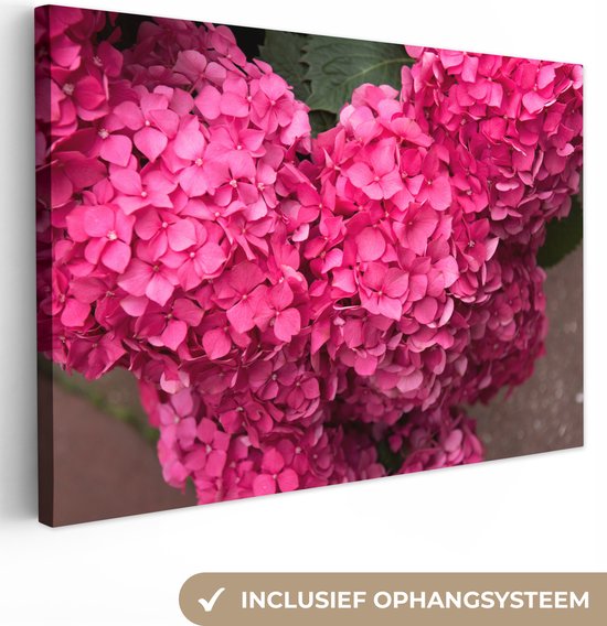 Canvas schilderij 180x120 cm - Wanddecoratie Close up roze hortensia bloemen - Muurdecoratie woonkamer - Slaapkamer decoratie - Kamer accessoires - Schilderijen