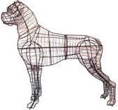 Hond Boxer - Frame