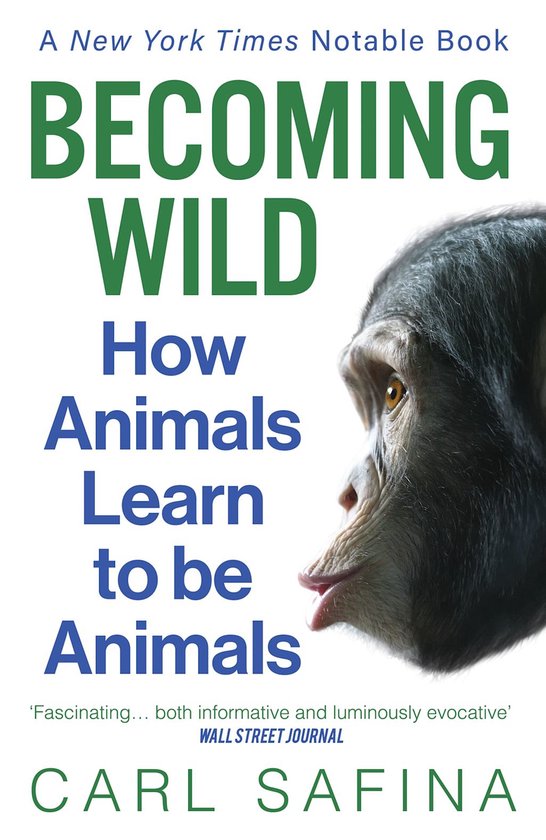 Becoming Wild - cover