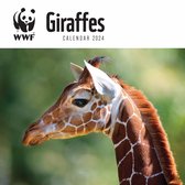 Girafes Calendrier WWF 2024