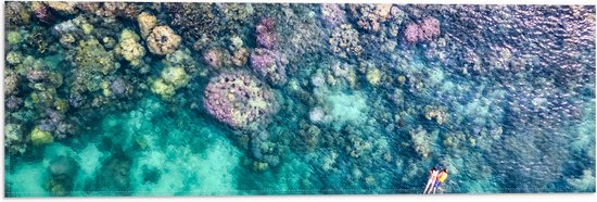 Vlag - Duiken - Snorkelen - Toeristen - Zee - Oceaan - Koraal - 60x20 cm Foto op Polyester Vlag
