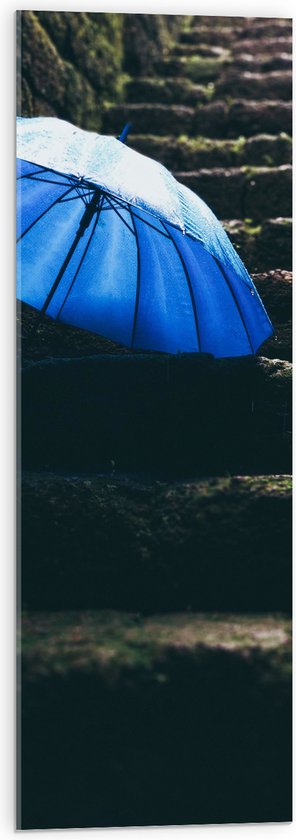 Acrylglas - Paraplu - Trap - Mos - Vochtig - 30x90 cm Foto op Acrylglas (Met Ophangsysteem)