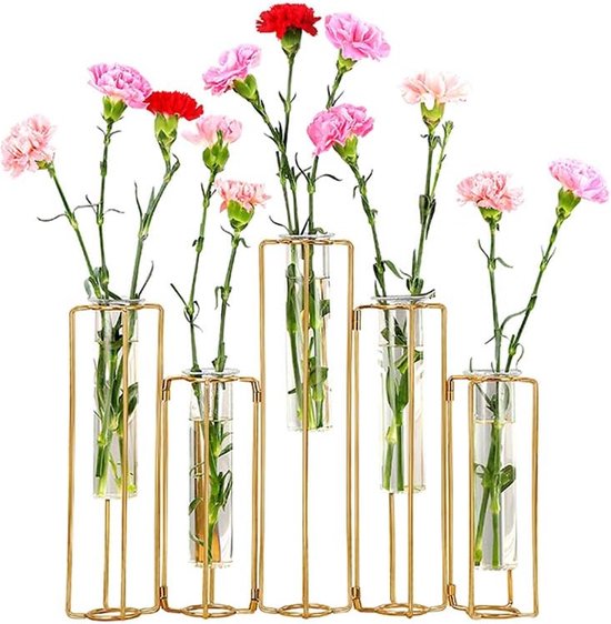Tube à essai Vases à fleurs Tubes à essai en verre avec 5 tubes à essai,  vases à