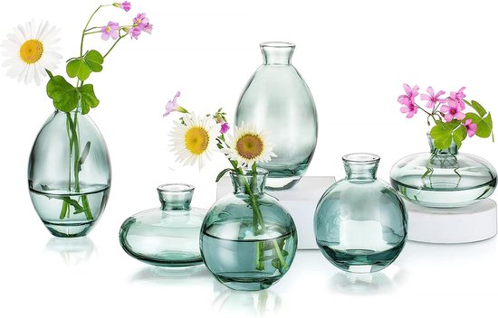 vazen voor tafeldecoratie van Hewory, 6 stuks vaas, glas, mini-vazenset, moderne glazen vaas, groen, kleine bloemenvazen voor bruiloftsdecoratie, tafel, woonkamerdecoratie