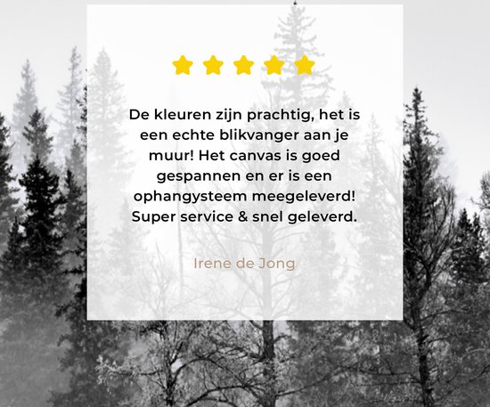 Peinture sur toile - Arbres - Brouillard - Forêt - Nature - Canvasdoek - 20x30 cm - Photo sur toile - Peinture nature