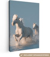 Canvas schilderij - Paard - Zee - Dieren - Wit - Foto op canvas - Canvas doek - 60x90 cm - Schilderijen op canvas