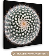 Canvas schilderij - Planten - Cactus - Bloem - Wit - Schilderijen op canvas - Foto op canvas - 90x90 cm - Canvasdoek