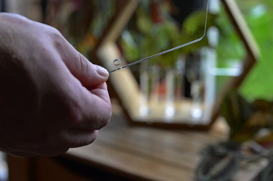 Plantenhanger binnen - Stekstation - Bamboe plantenhanger - Incl. 3 reageerbuisjes