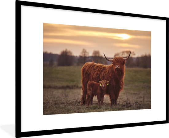 Affiche - Cadre photo - Highlander écossais - Veau - Vache - Coucher de soleil - Nature - Affiche avec cadre - 90x60 cm - Affiche cadre - Affiche nature - Décoration salon - Poster Highlander écossais