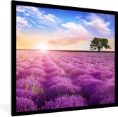 Affiche encadrée - Cadre photo - Lavande - Fleurs - Arbre - Soleil - Paysage - Affiche encadrée - 40x40 cm - Cadre - Cadre pour affiche - Affiche lavande - Décoration intérieure - Affiche nature - Photo sous cadre