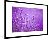Affiche - Cadre photo - Fleurs - Violet - Lavande - Nature - Cadre - Cadre poster - 120x80 cm - Cadre poster - Décoration chambre - Poster nature - Poster fleurs - Photo avec cadre