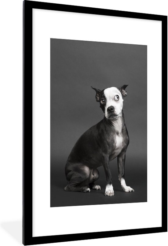 Fotolijst incl. Poster - Hond - Vlek - Portret - 60x90 cm - Posterlijst