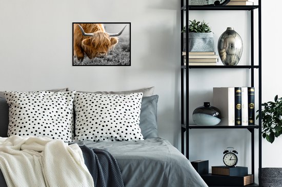 Cadre photo avec affiche - Couleur - Zwart - Wit - Scottish Highlander - 40x30 cm - Cadre pour affiche