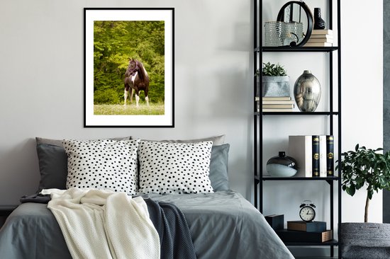 Cheval pommelé devant quelques arbres cadre photo noir avec passe-partout blanc 60x80