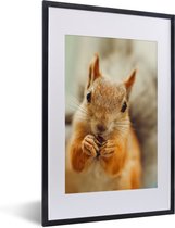 Photo encadrée - Cadre photo écureuil en gros plan noir avec passe-partout blanc 40x60 40x60 cm - Affiche encadrée (Décoration murale salon / chambre)