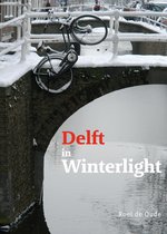 Delft in Winterlight