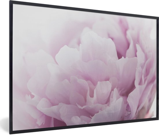 Photo encadrée - Gros plan d'un cadre photo pivoine rose noir 30x20 cm - Affiche encadrée (Décoration murale salon / chambre)