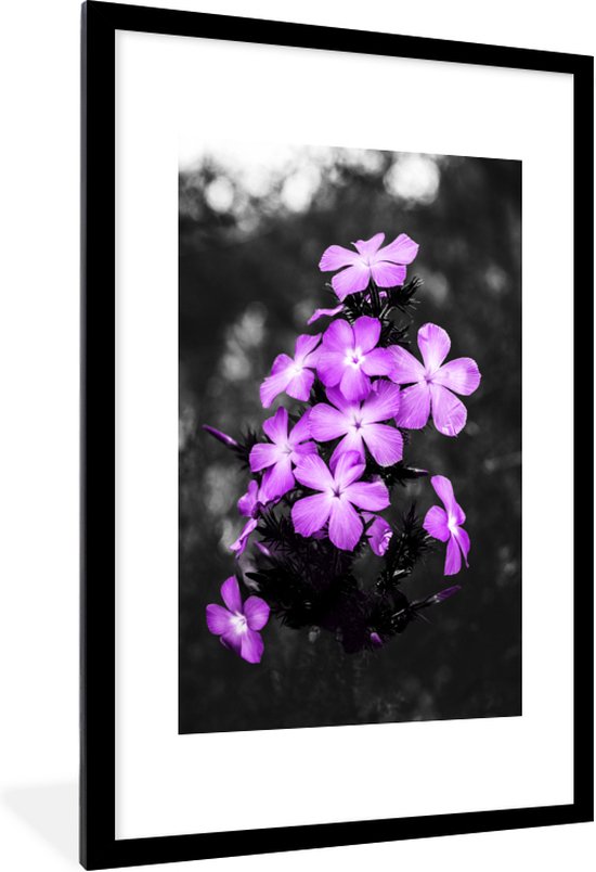 Fotolijst incl. Poster - Bloemen - Paars - Zwart - Wit - 60x90 cm - Posterlijst