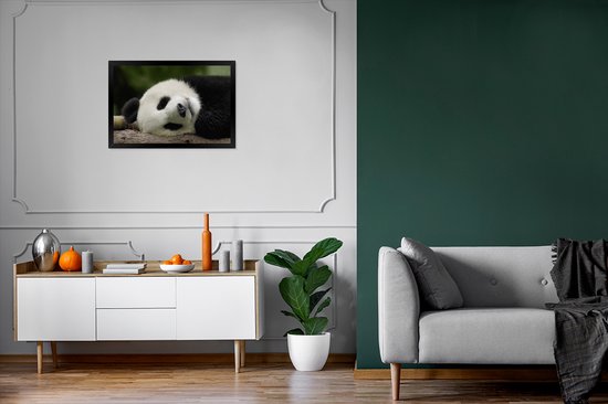 Panda endormi 60x40 cm