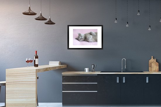 Chat gris dort sur un tapis rose 60x40 cm