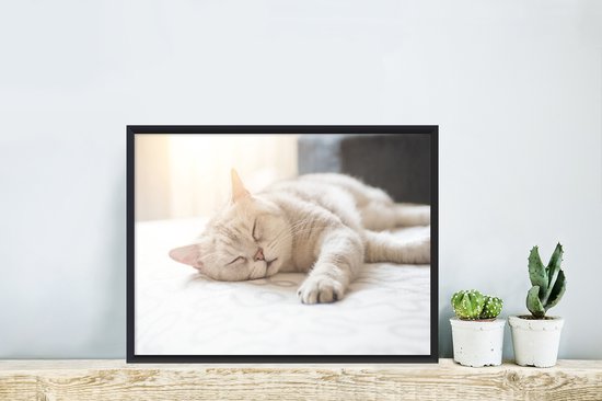 Chat dort sur un lit 30x20 cm - petit
